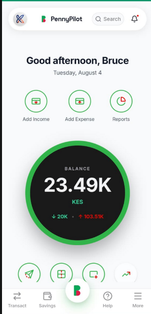 PennyPilot App Interface